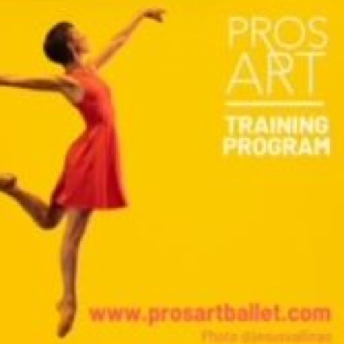 ProsArt Ballet - Albi (FR)